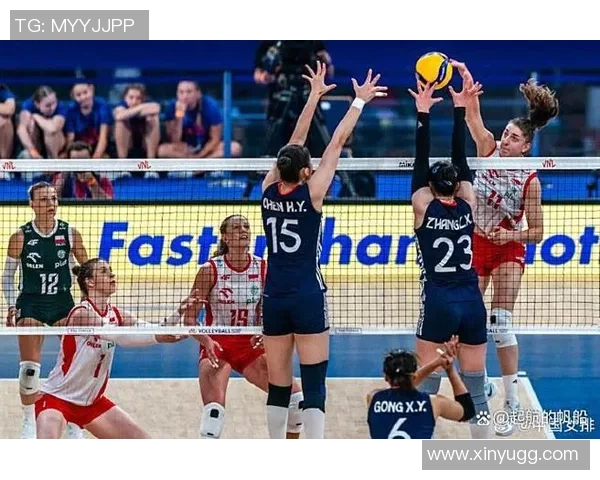 上海排球队灵活性引发热议球迷与专家观点交锋分析