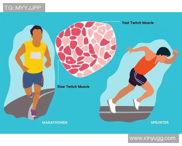 足球明星身高与鞋码的关系探讨及其对运动表现的影响分析