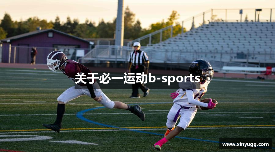 关于必一运动b-sports